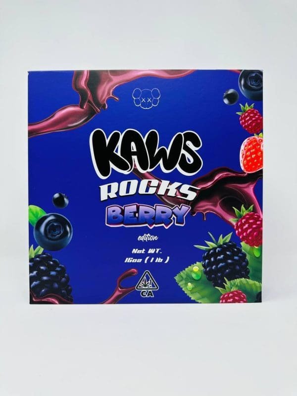 Kaws Rocks Berry Edition LB Box